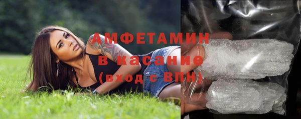 шишки Беломорск