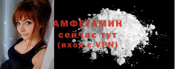 шишки Беломорск