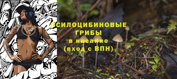 скорость Белокуриха