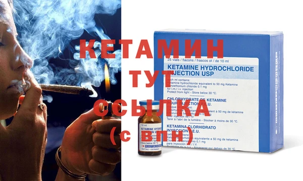 шишки Беломорск