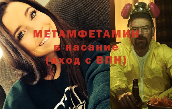 шишки Беломорск