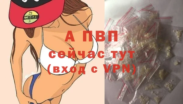 скорость Белокуриха