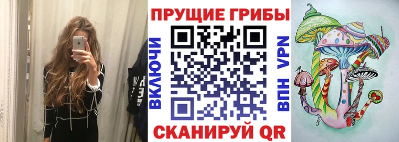 где купить наркотик Сковородино Галлюциногенные грибы ЛСД